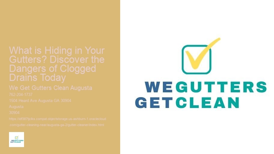 What is Hiding in Your Gutters? Discover the Dangers of Clogged Drains Today
