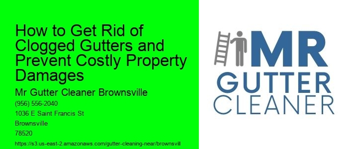 How to Get Rid of Clogged Gutters and Prevent Costly Property Damages 