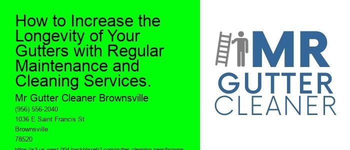 How to Increase the Longevity of Your Gutters with Regular Maintenance and Cleaning Services.