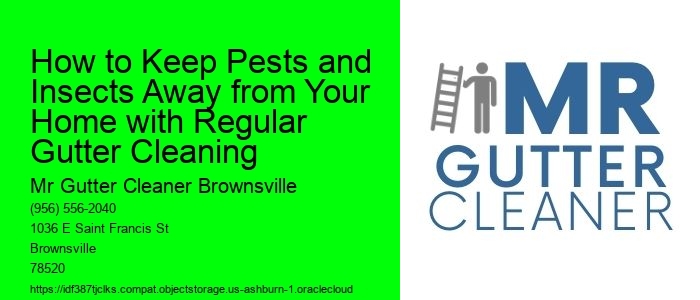 How to Keep Pests and Insects Away from Your Home with Regular Gutter Cleaning 