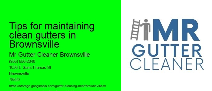 Tips for maintaining clean gutters in Brownsville 