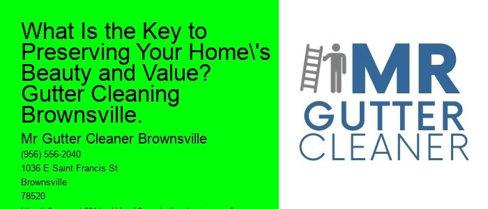 What Is the Key to Preserving Your Home's Beauty and Value? Gutter Cleaning Brownsville.