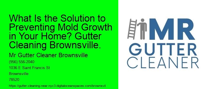 What Is the Solution to Preventing Mold Growth in Your Home? Gutter Cleaning Brownsville.