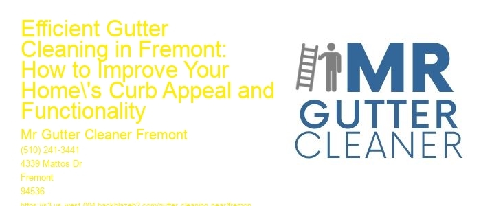Efficient Gutter Cleaning in Fremont: How to Improve Your Home's Curb Appeal and Functionality