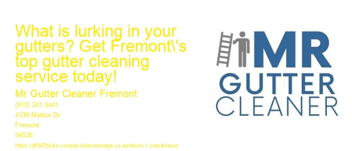What is lurking in your gutters? Get Fremont's top gutter cleaning service today!