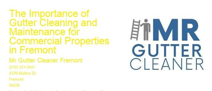 The Importance of Gutter Cleaning and Maintenance for Commercial Properties in Fremont