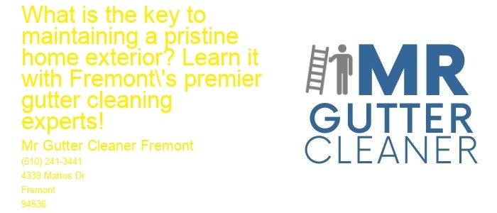 What is the key to maintaining a pristine home exterior? Learn it with Fremont's premier gutter cleaning experts!