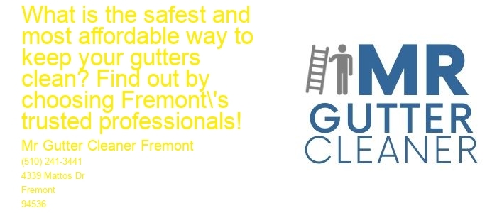 What is the safest and most affordable way to keep your gutters clean? Find out by choosing Fremont's trusted professionals!