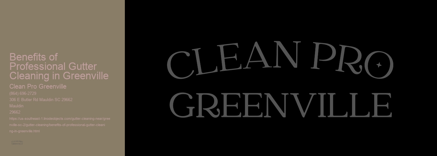 Benefits of Professional Gutter Cleaning in Greenville