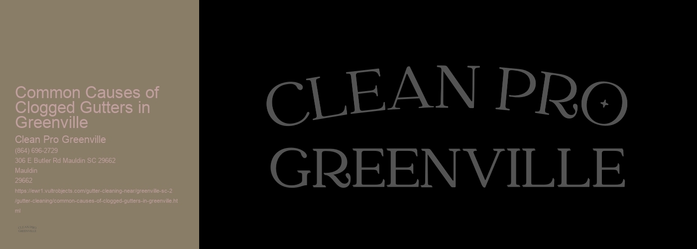 Common Causes of Clogged Gutters in Greenville 