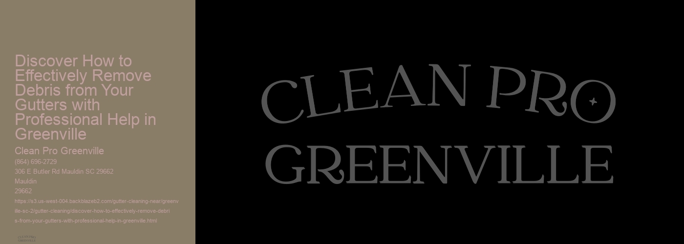 Discover How to Effectively Remove Debris from Your Gutters with Professional Help in Greenville