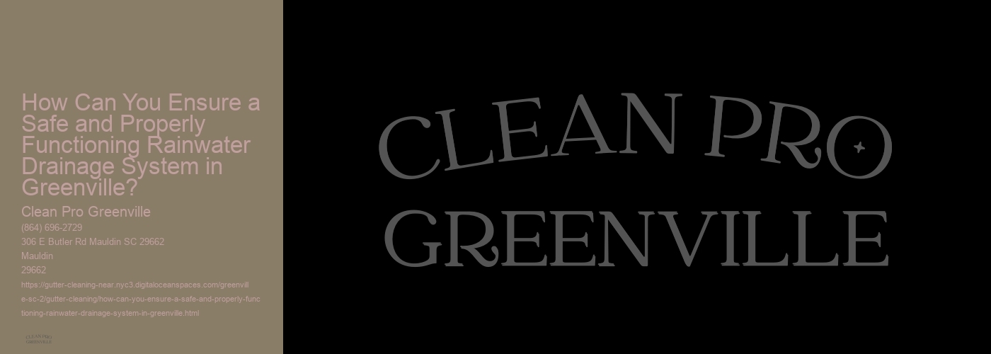 How Can You Ensure a Safe and Properly Functioning Rainwater Drainage System in Greenville?