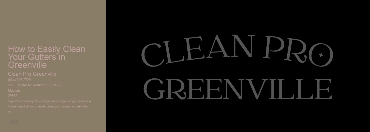 How to Easily Clean Your Gutters in Greenville 