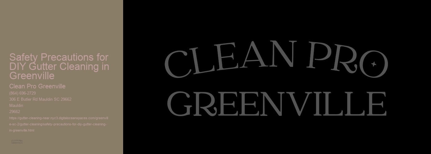 Safety Precautions for DIY Gutter Cleaning in Greenville 
