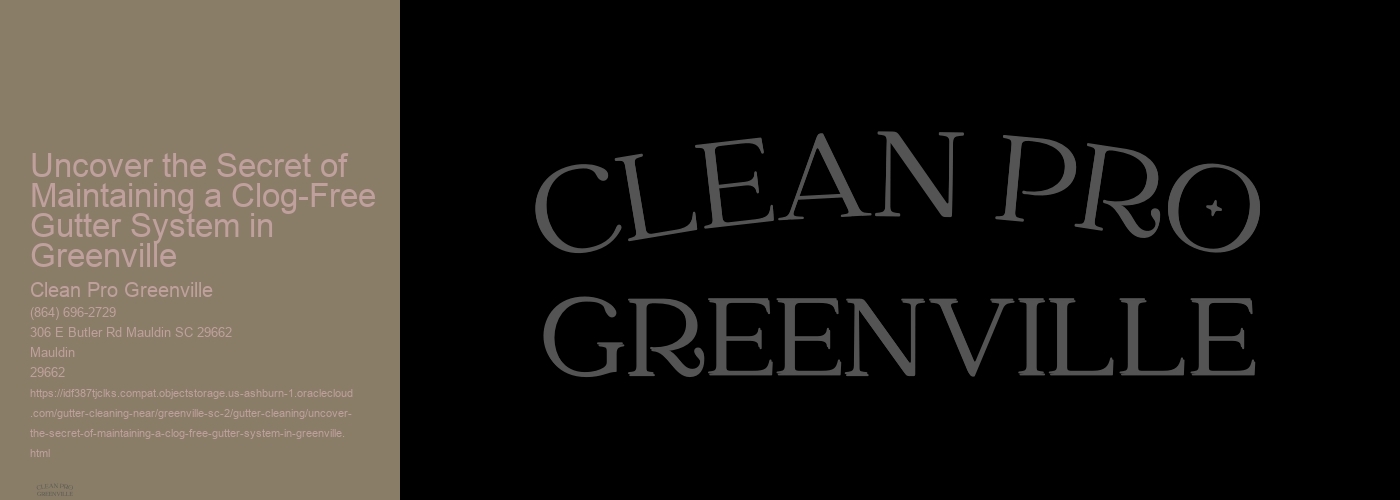 Uncover the Secret of Maintaining a Clog-Free Gutter System in Greenville 