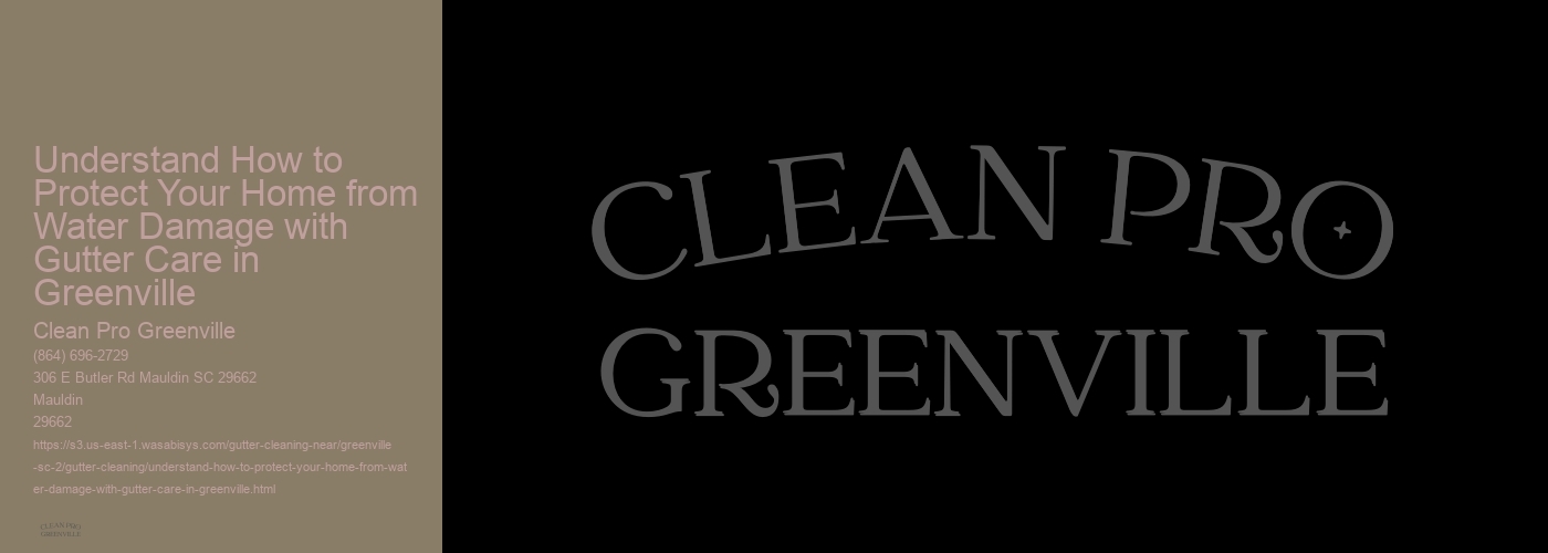 Understand How to Protect Your Home from Water Damage with Gutter Care in Greenville 