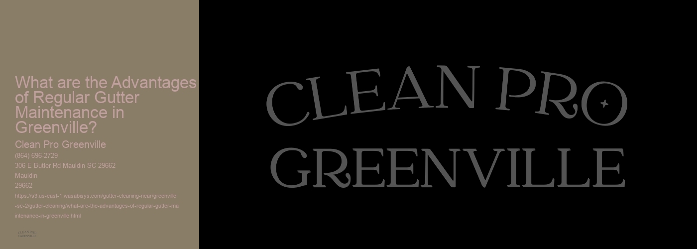 What are the Advantages of Regular Gutter Maintenance in Greenville? 