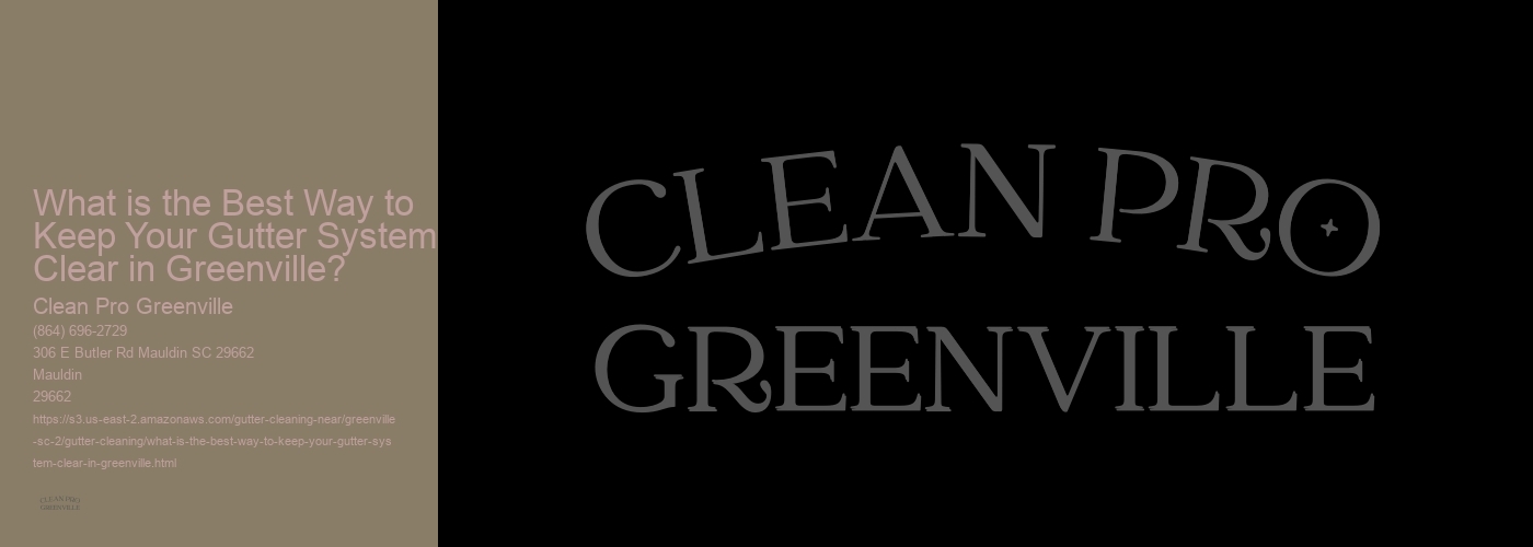 What is the Best Way to Keep Your Gutter System Clear in Greenville?