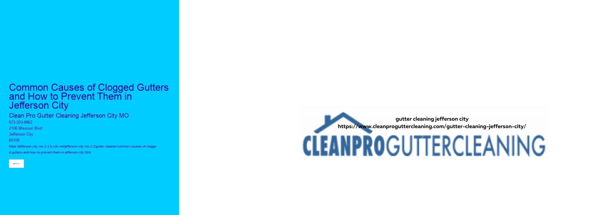 Common Causes of Clogged Gutters and How to Prevent Them in Jefferson City 