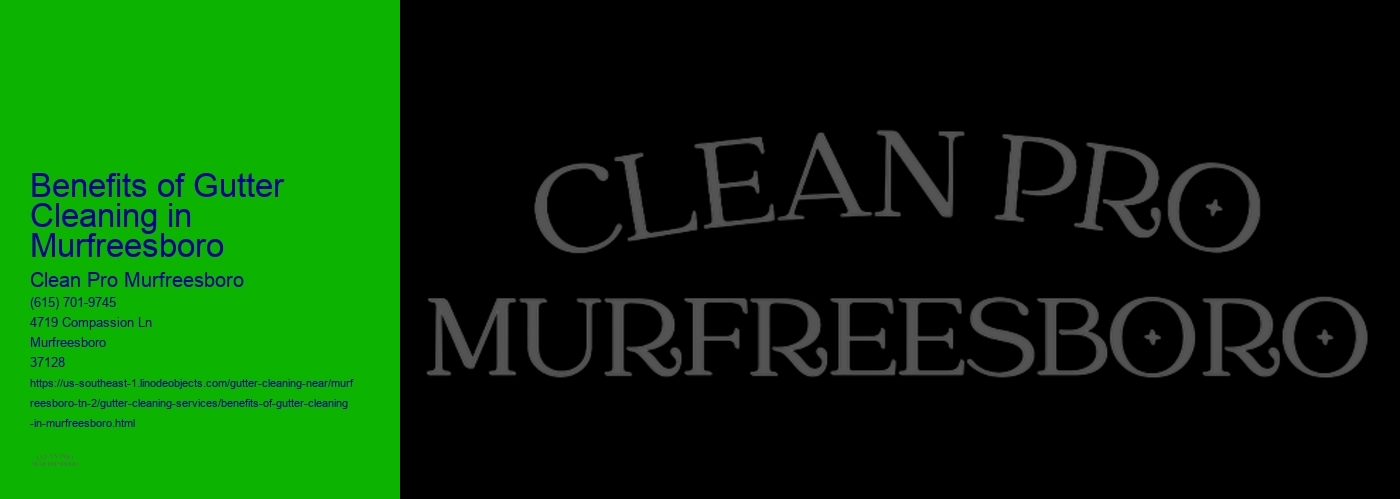 Benefits of Gutter Cleaning in Murfreesboro 