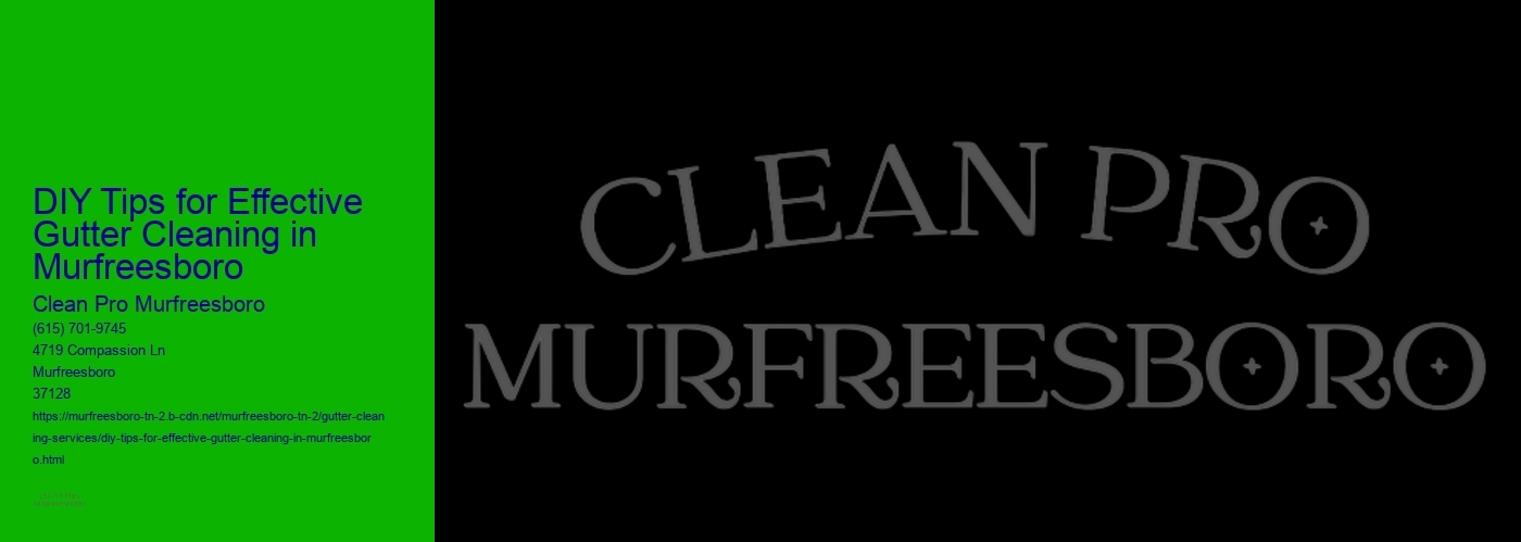 DIY Tips for Effective Gutter Cleaning in Murfreesboro 