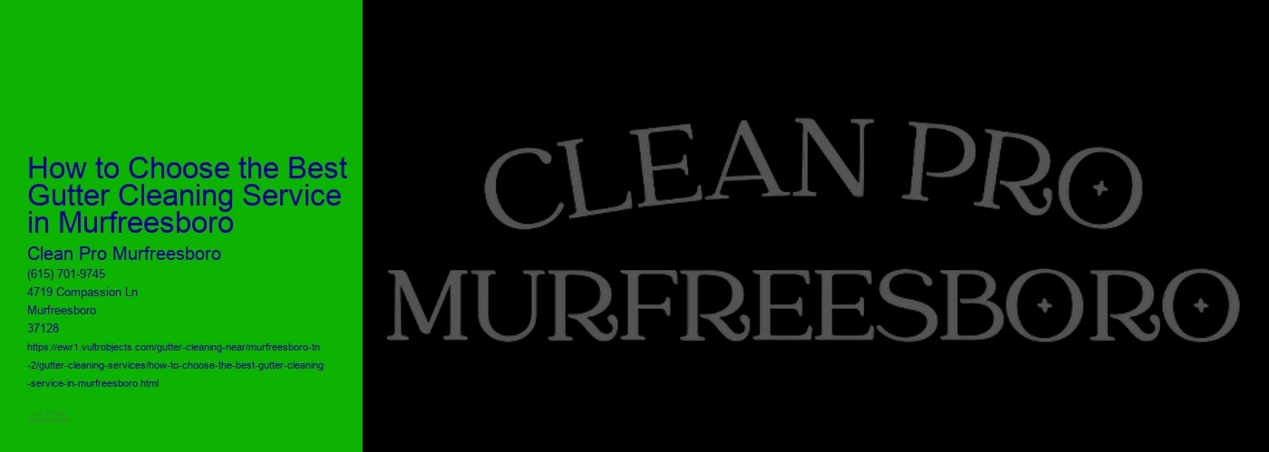 How to Choose the Best Gutter Cleaning Service in Murfreesboro 