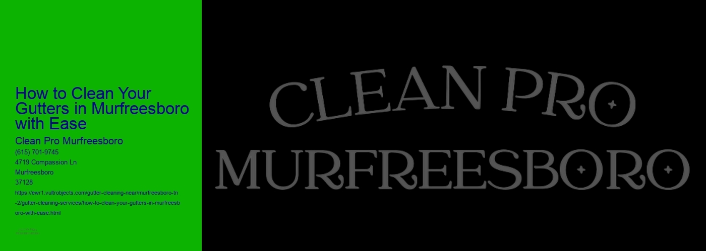 How to Clean Your Gutters in Murfreesboro with Ease 