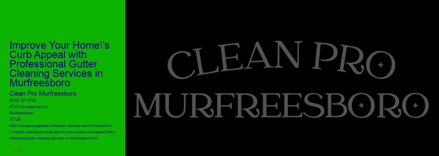 Improve Your Home's Curb Appeal with Professional Gutter Cleaning Services in Murfreesboro 