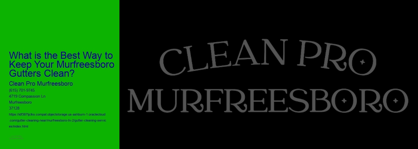 What is the Best Way to Keep Your Murfreesboro Gutters Clean? 