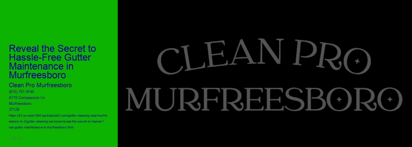 Reveal the Secret to Hassle-Free Gutter Maintenance in Murfreesboro
