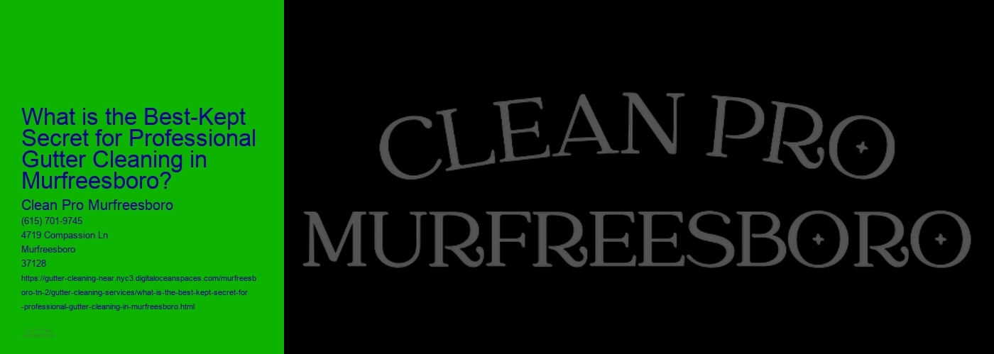 What is the Best-Kept Secret for Professional Gutter Cleaning in Murfreesboro?