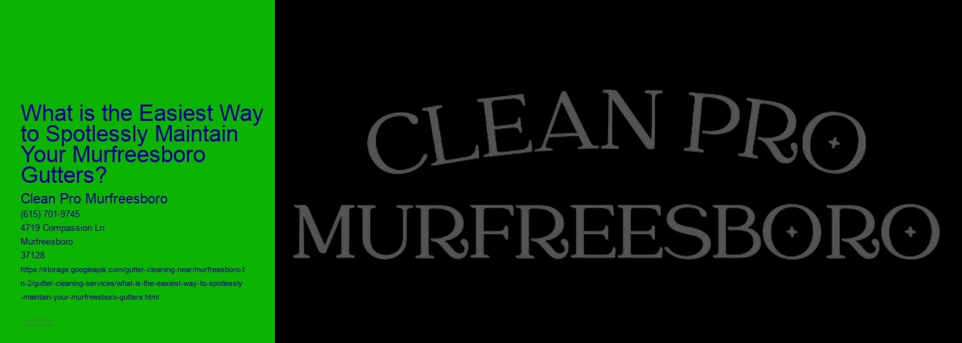 What is the Easiest Way to Spotlessly Maintain Your Murfreesboro Gutters? 