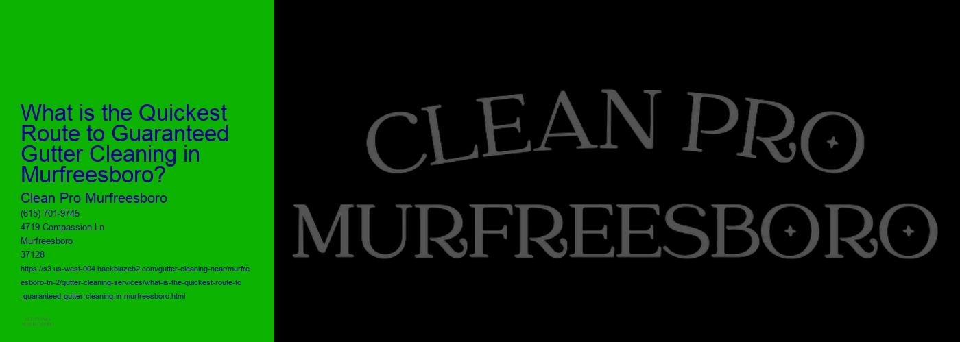 What is the Quickest Route to Guaranteed Gutter Cleaning in Murfreesboro? 