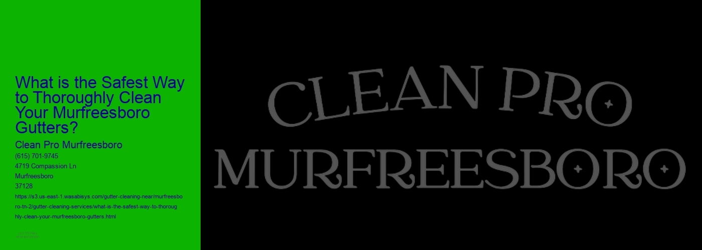 What is the Safest Way to Thoroughly Clean Your Murfreesboro Gutters? 