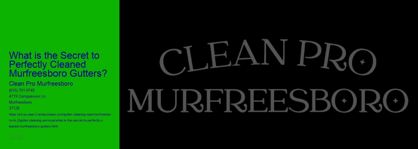 What is the Secret to Perfectly Cleaned Murfreesboro Gutters? 