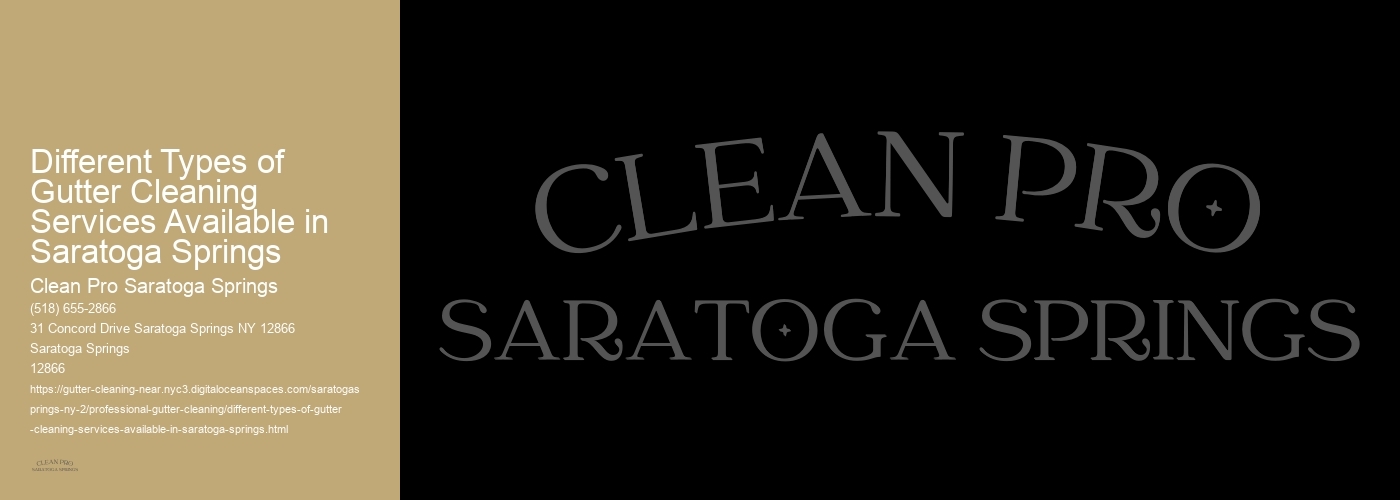Different Types of Gutter Cleaning Services Available in Saratoga Springs 