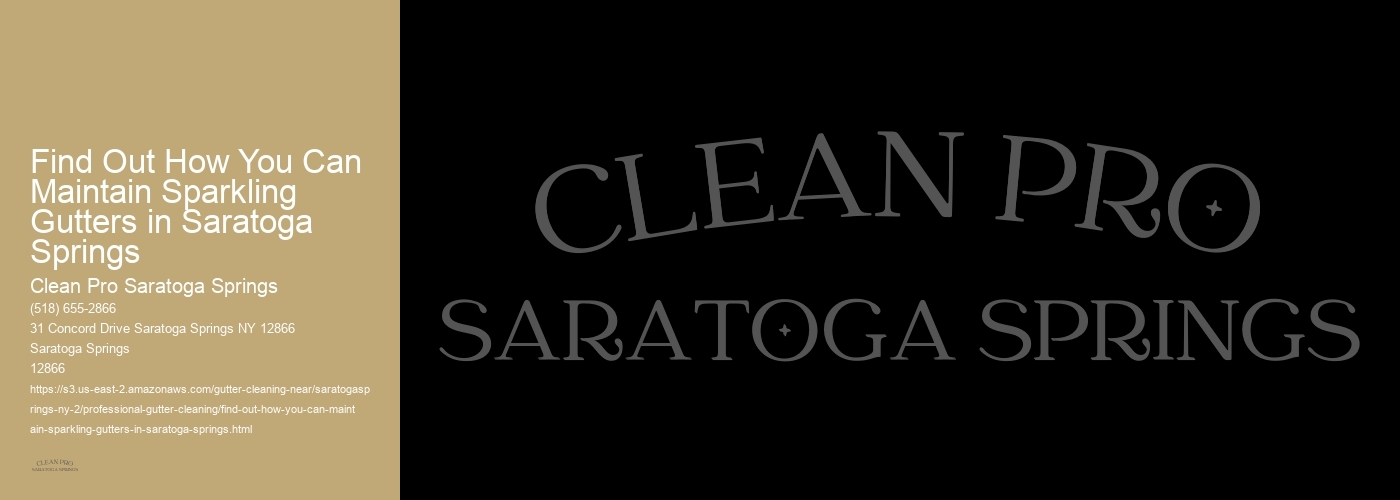 Find Out How You Can Maintain Sparkling Gutters in Saratoga Springs 