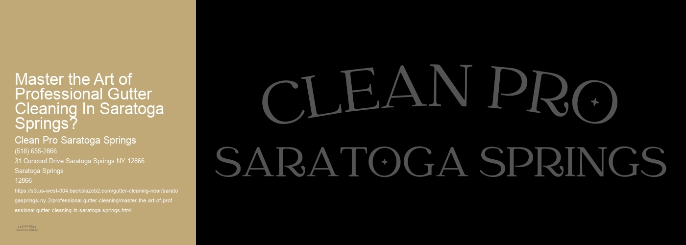 Master the Art of Professional Gutter Cleaning In Saratoga Springs?
