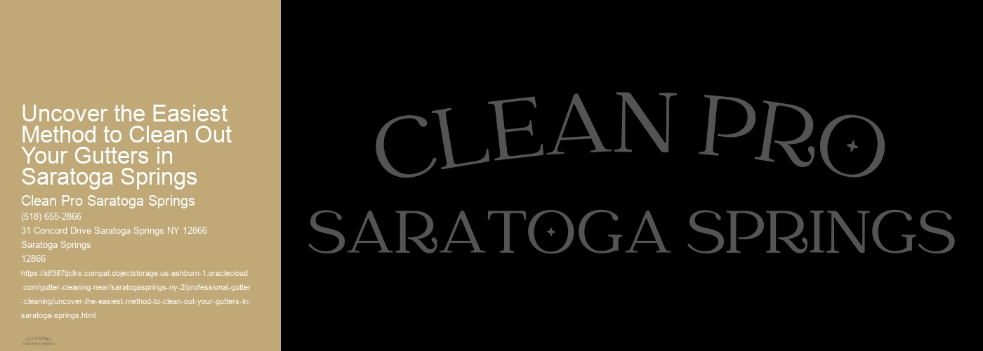 Uncover the Easiest Method to Clean Out Your Gutters in Saratoga Springs 