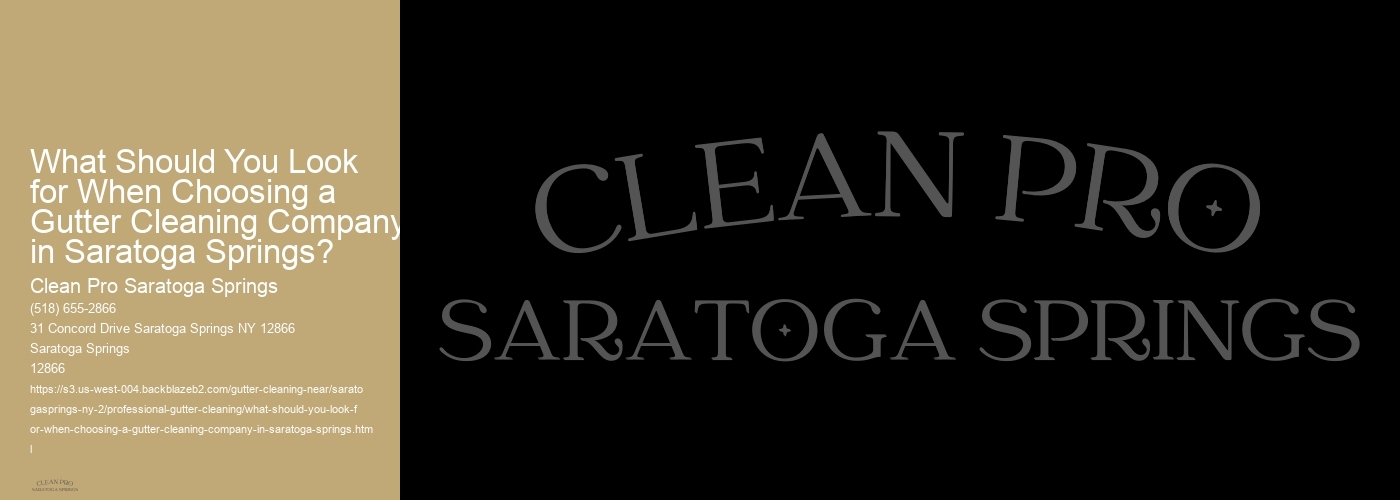 What Should You Look for When Choosing a Gutter Cleaning Company in Saratoga Springs? 
